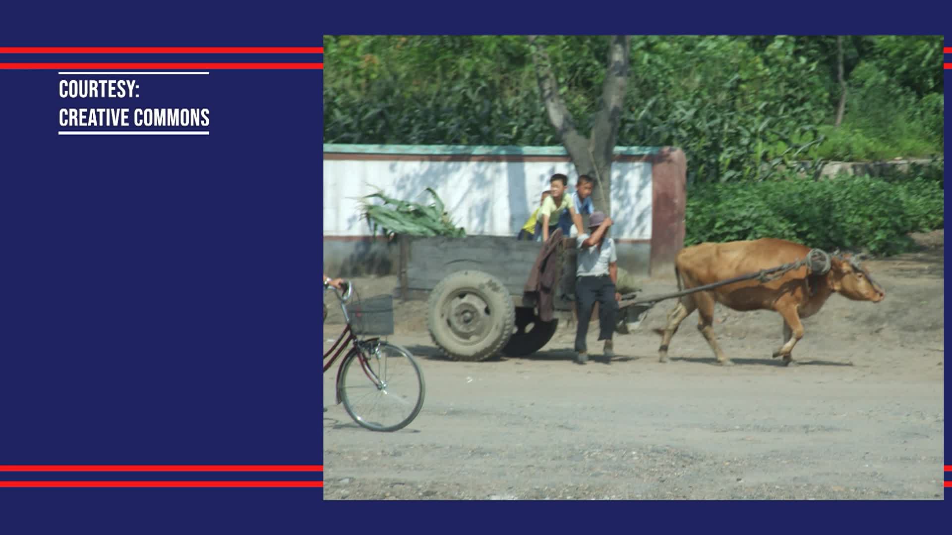 Thumbnail image for White House Chronicle - North Korea's Nuclear Ambitions