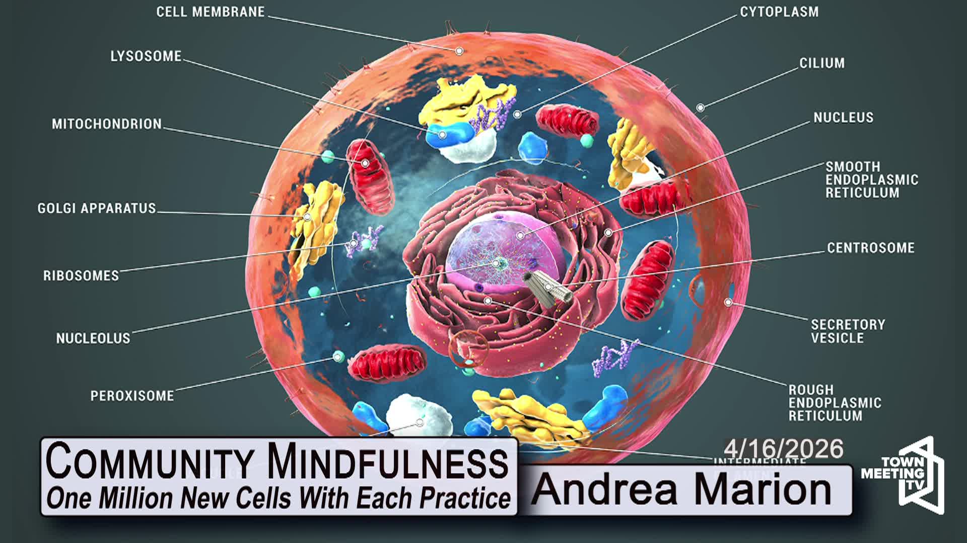 Thumbnail image for Community Mindfulness - One Million New Cells with Each Practice