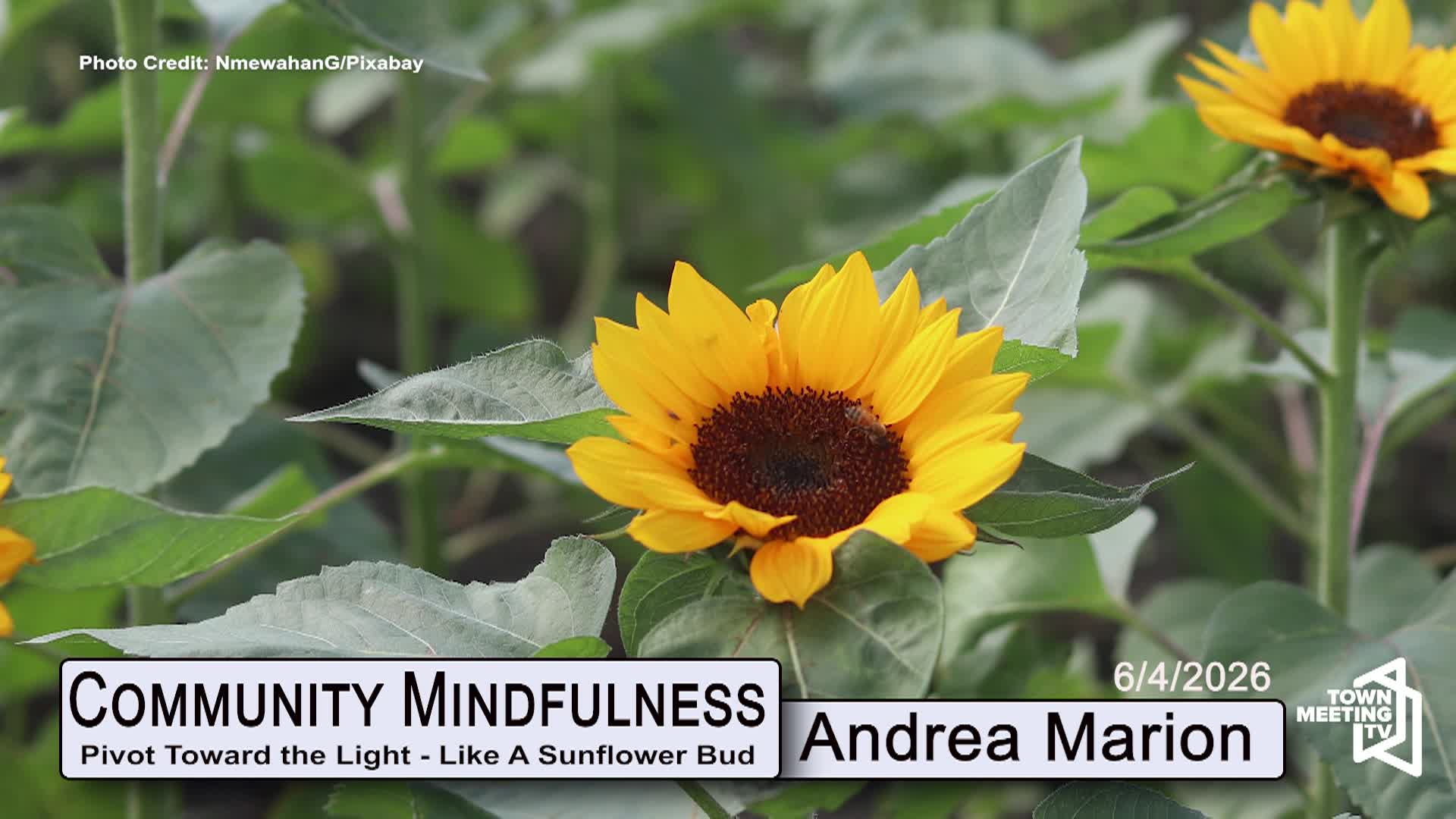 Thumbnail image for Community Mindfulness - Pivot Toward The Light